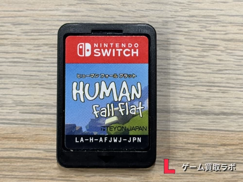 ヒューマン フォール フラット ソフトのみ