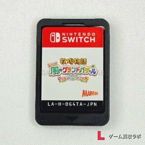 牧場物語 Let’s!風のグランドバザール ソフトのみ